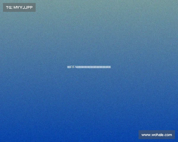 围绕FIFA世界杯票务的最新购票指南与观赛攻略全解析实用版